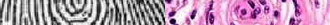 plotfracture