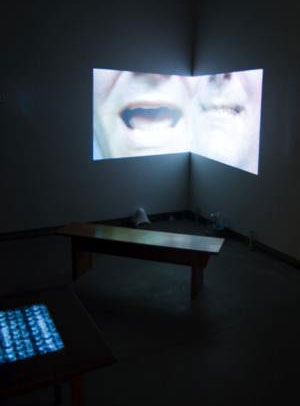 installation view