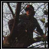 me in a tree in wakulla springs wearing a bocephus cap